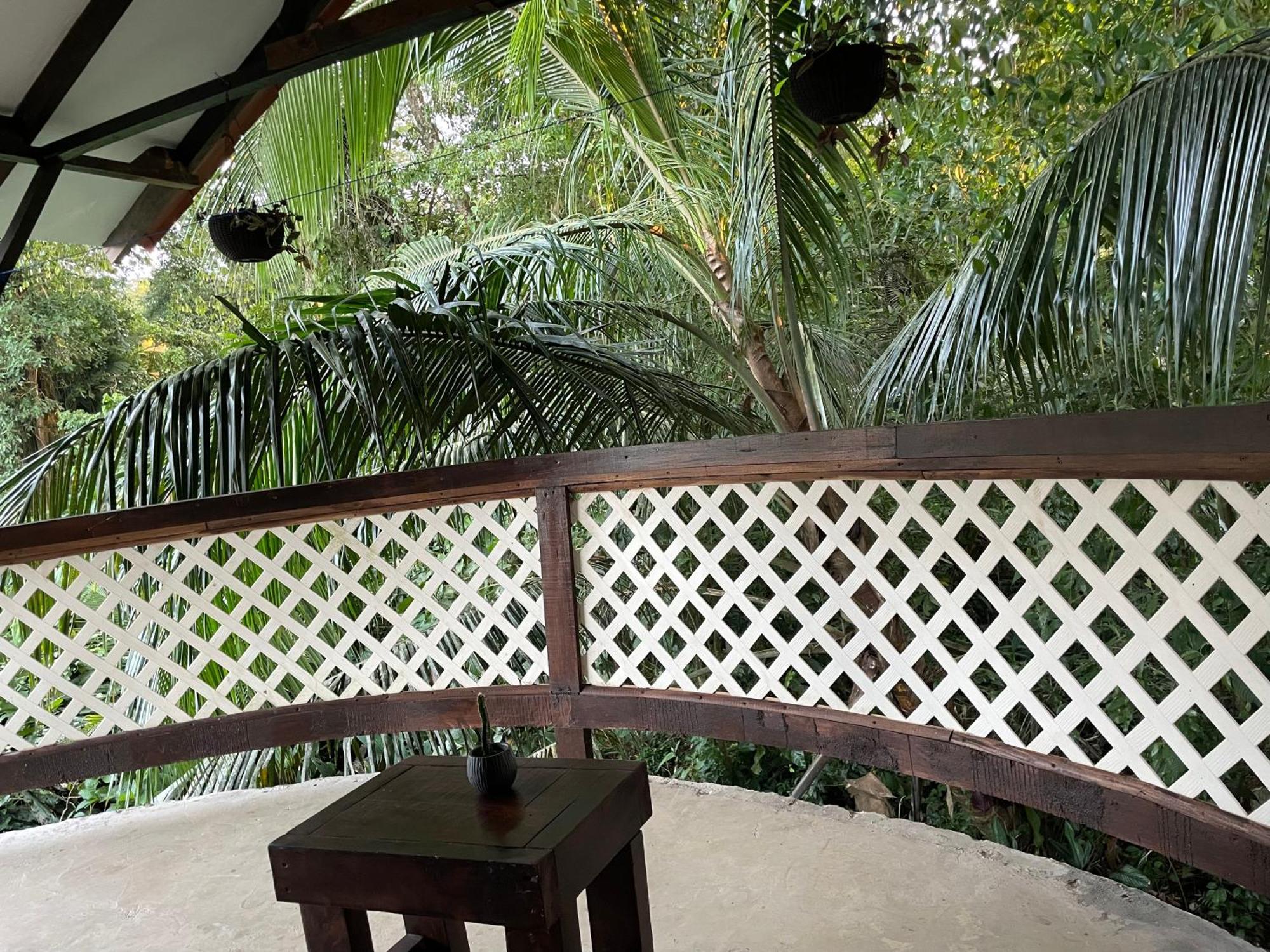 Casa Jaguar Tortuguero Vila Exterior foto
