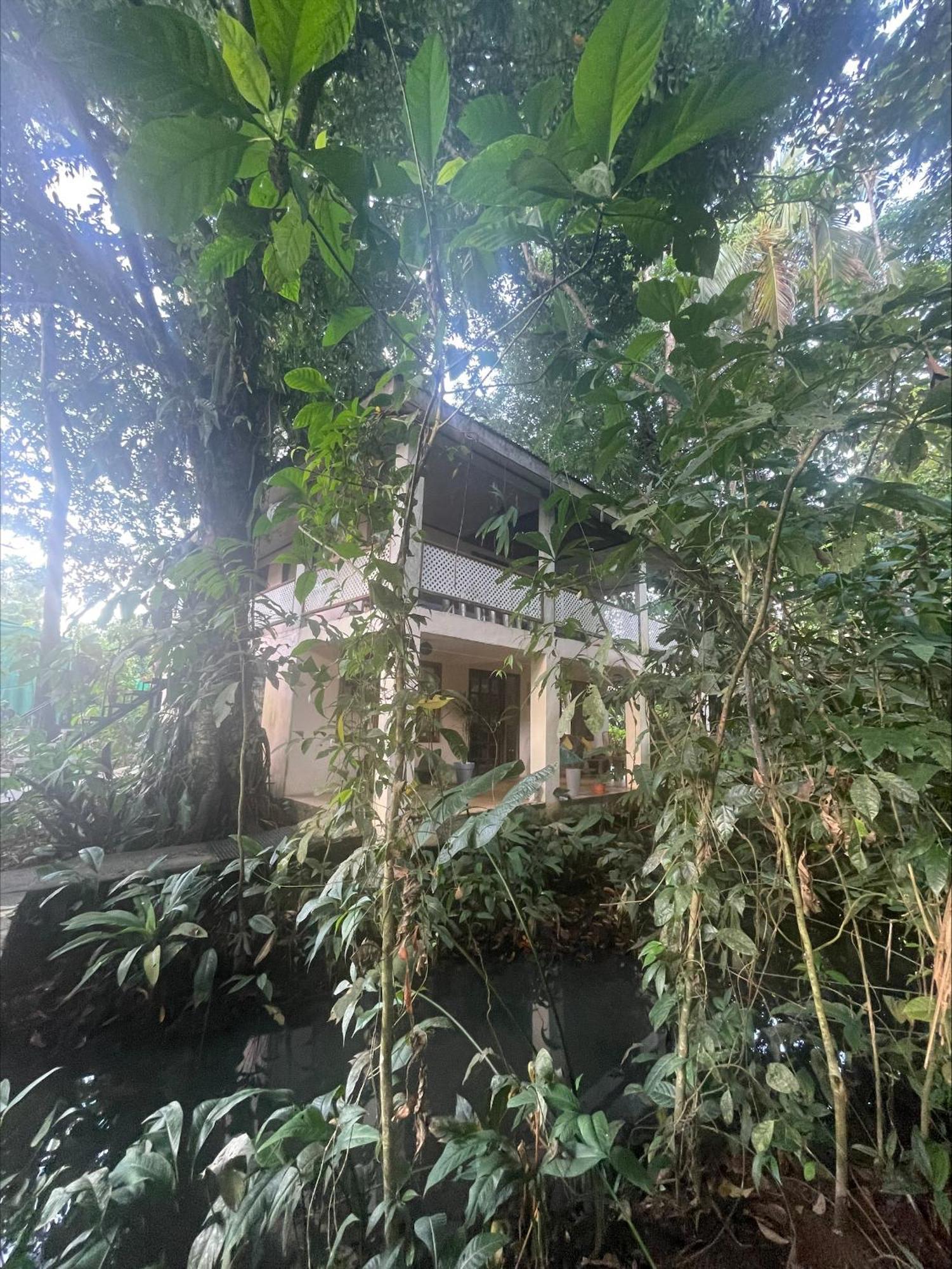 Casa Jaguar Tortuguero Vila Exterior foto